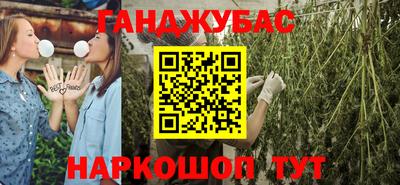 шишки Кимры