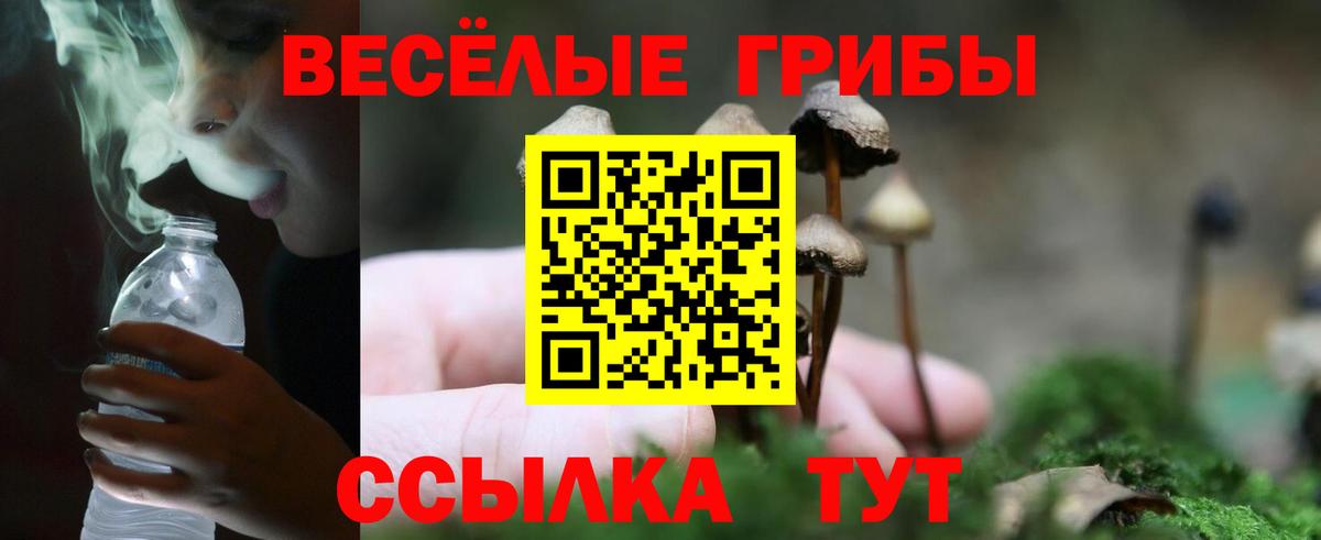 как найти наркотики  Псилоцибиновые грибы Psilocybine cubensis  Вход с VPN  Дзержинск  Галлюциногенные грибы мицелий 